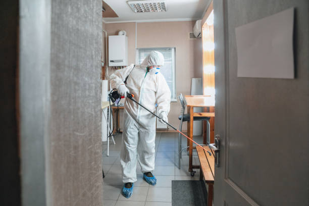 Best Residential Mold Inspection & Testing  in Cleveland, FL