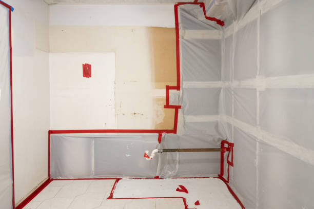 Best Mold Damage Restoration  in Cleveland, FL