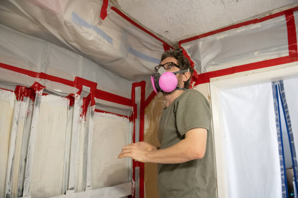 Best Mold Damage Restoration  in Cleveland, FL