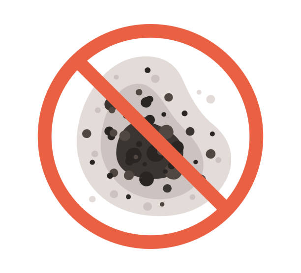 Trusted Cleveland, FL Mold Removal Experts