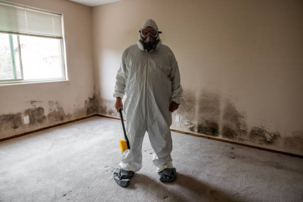 Mold Remediation for Vacation Homes